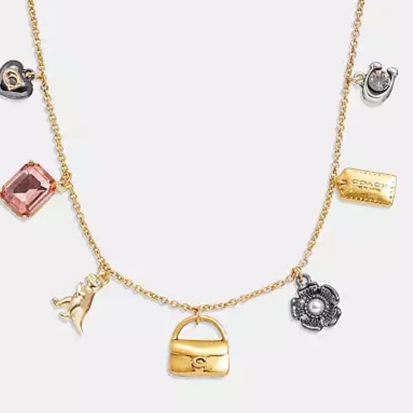 Signature Coach Tabby Charm Necklace. Plated brass chain - 16" with 2” extender - Picture 2 of 4